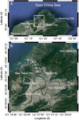 Zooplankton Fluctuations in the Surface Waters of the Estuary of a Large Subtropical Urban River